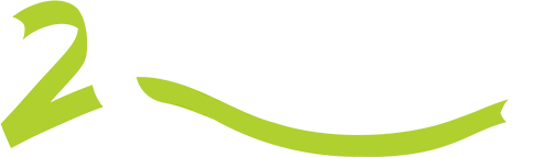 20th Anniversary Logo