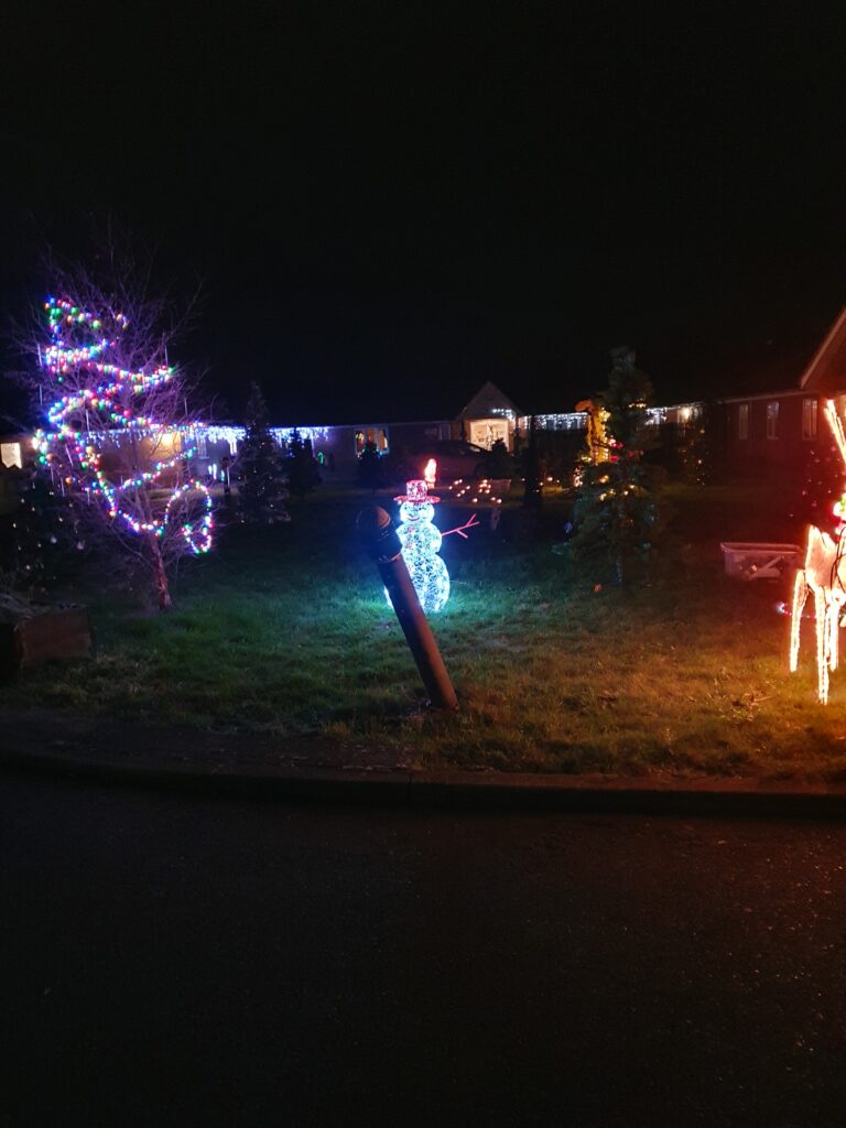 Caister comes together to create festive wonderland for Claremont's