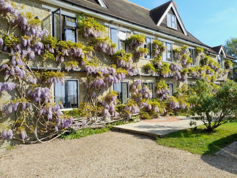 The Malthouse care home | Gillingham | Healthcare Homes