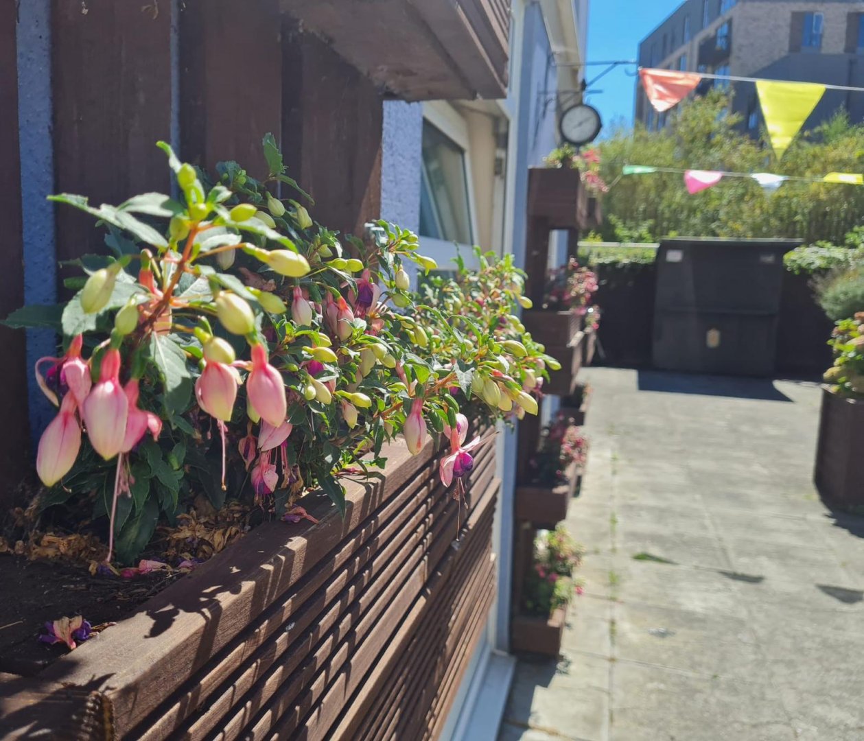 The Chase - Garden 3