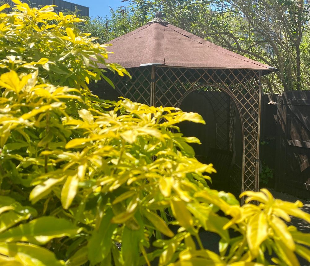 TopRated Care Homes in Watford, Hertfordshire The Chase