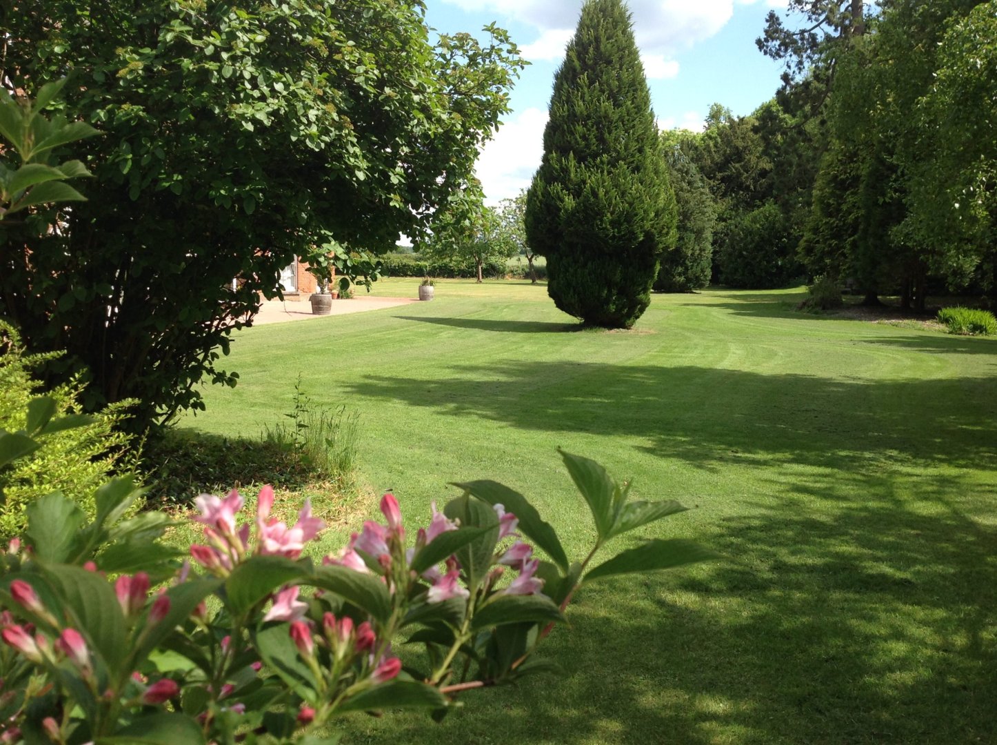 Miscellaneous-016-1-scaled