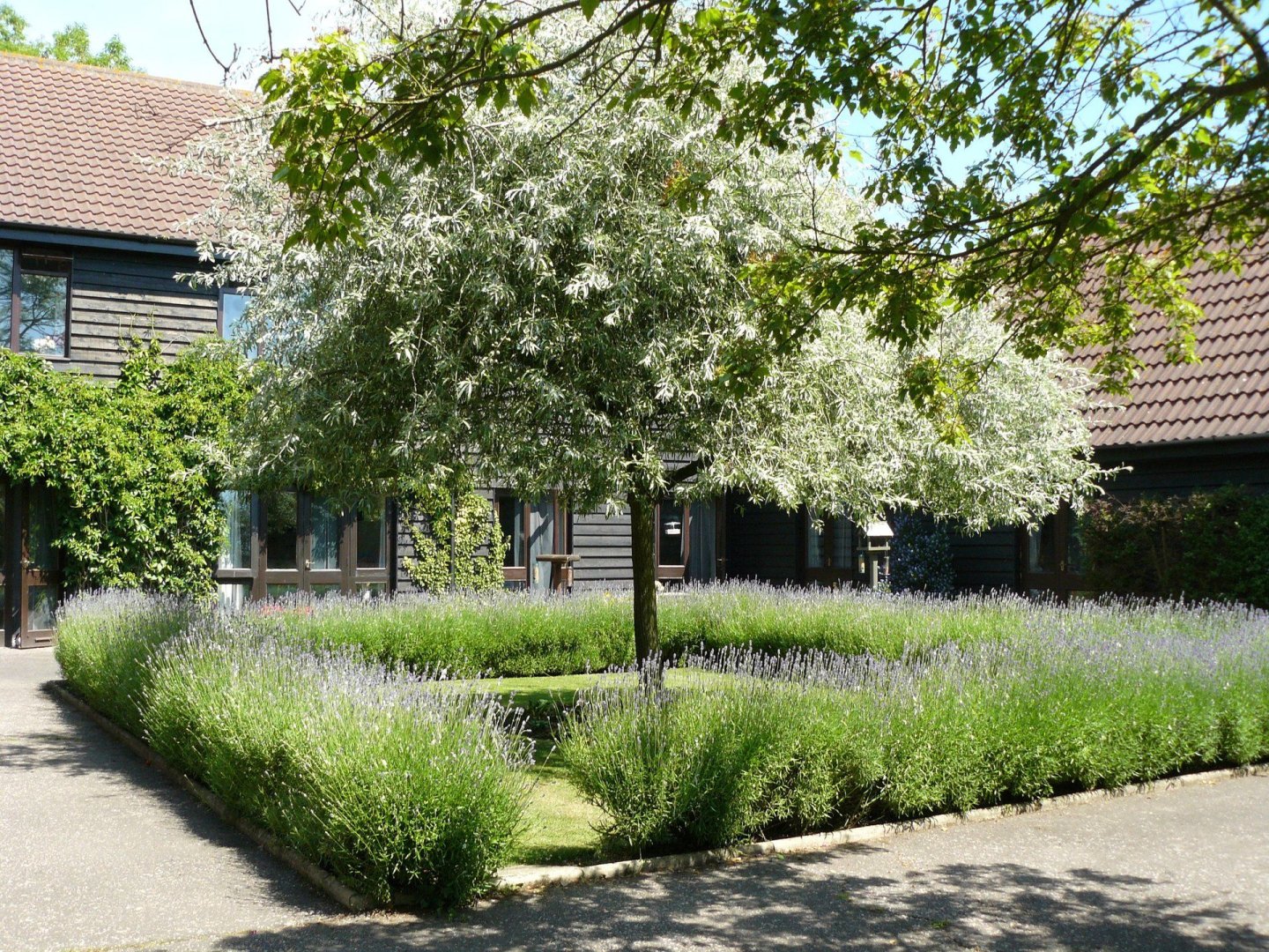 P1020494+-+Copy-1920w