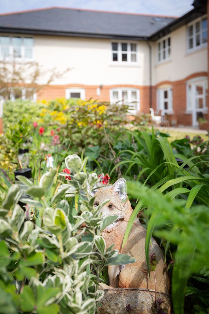 Simply-C-Photography-Commercial-Branding-Photographer-Suffolk-Interior-property-photography-Headshots-Portrait-Personal-Branding-Property-Interior-Photographer-Healthcare-Homes-9