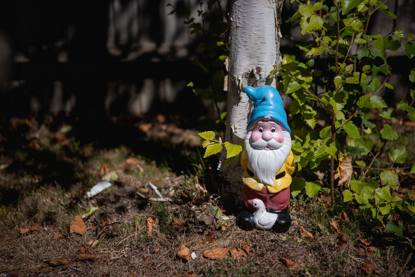 Sovereign Lodge | Eastbourne Care Home | Healthcare Homes