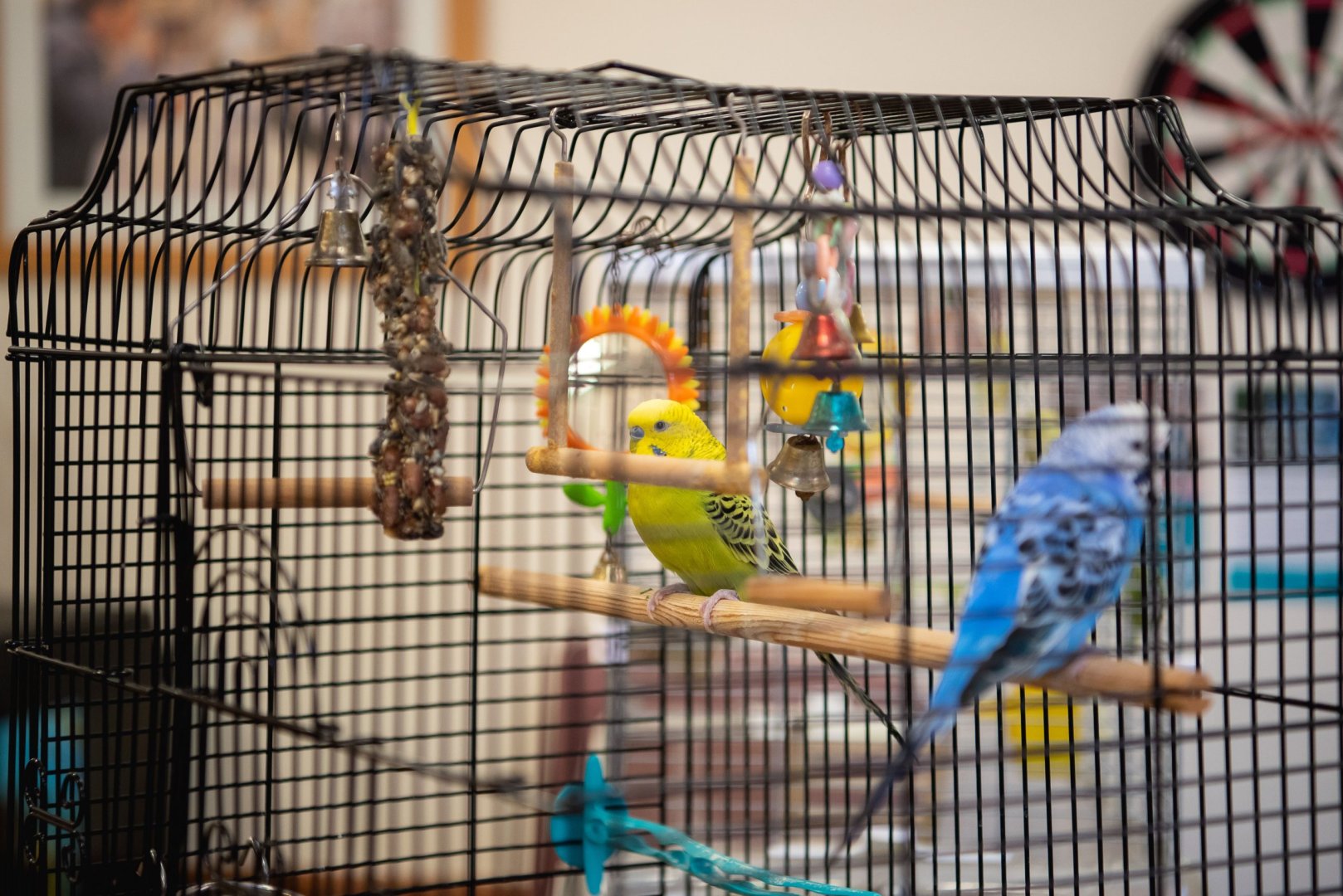 Sovereign Lodge | Eastbourne Care Home | Healthcare Homes