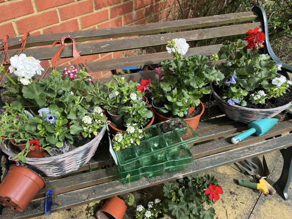 The Chase Care Home Watford Healthcare Homes