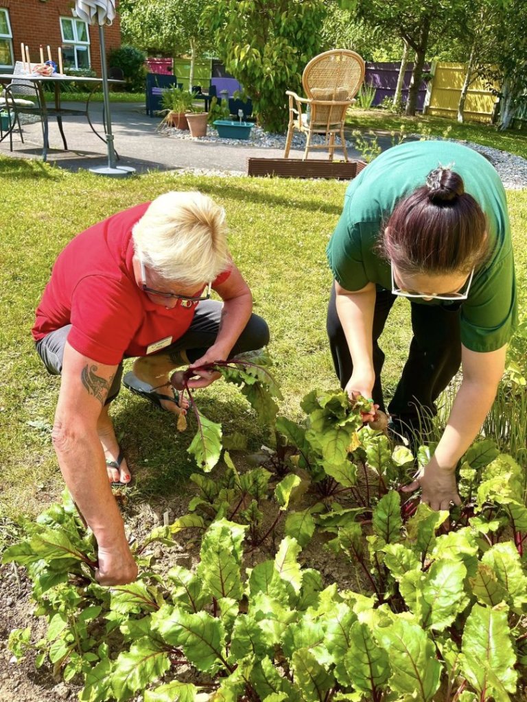 Staff at Sovereign Lodge Care Home planting flowers and vegetables as part of the award-winning InBloom gardening project