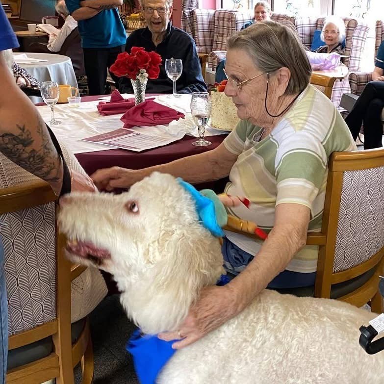 Larry the dog visit at Walcot Hall with residents during Mary’s birthday celebration