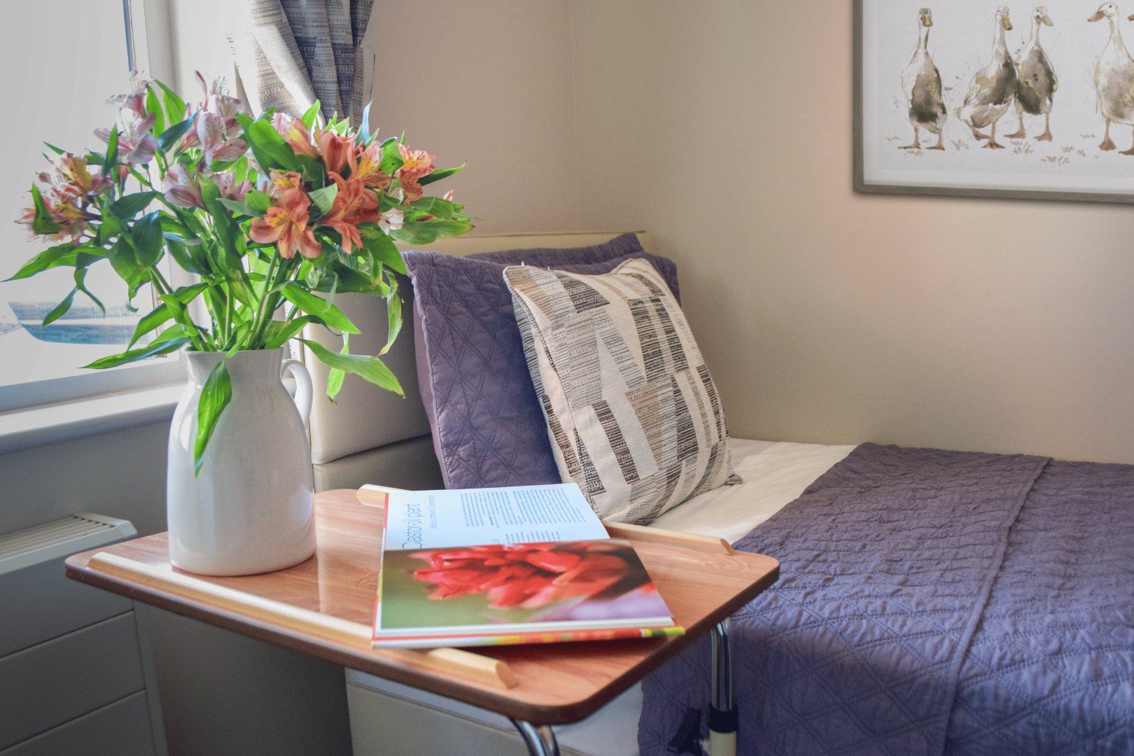 Olive House Care Home | Newton Flotman | Norfolk | Healthcare Homes