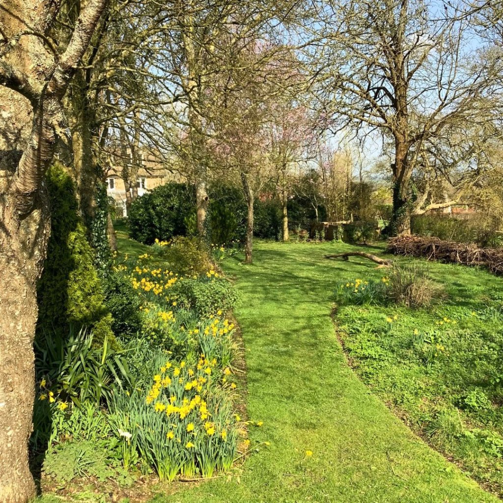 Gardens at The Old Vicarage care home in Leigh, Sherborne.