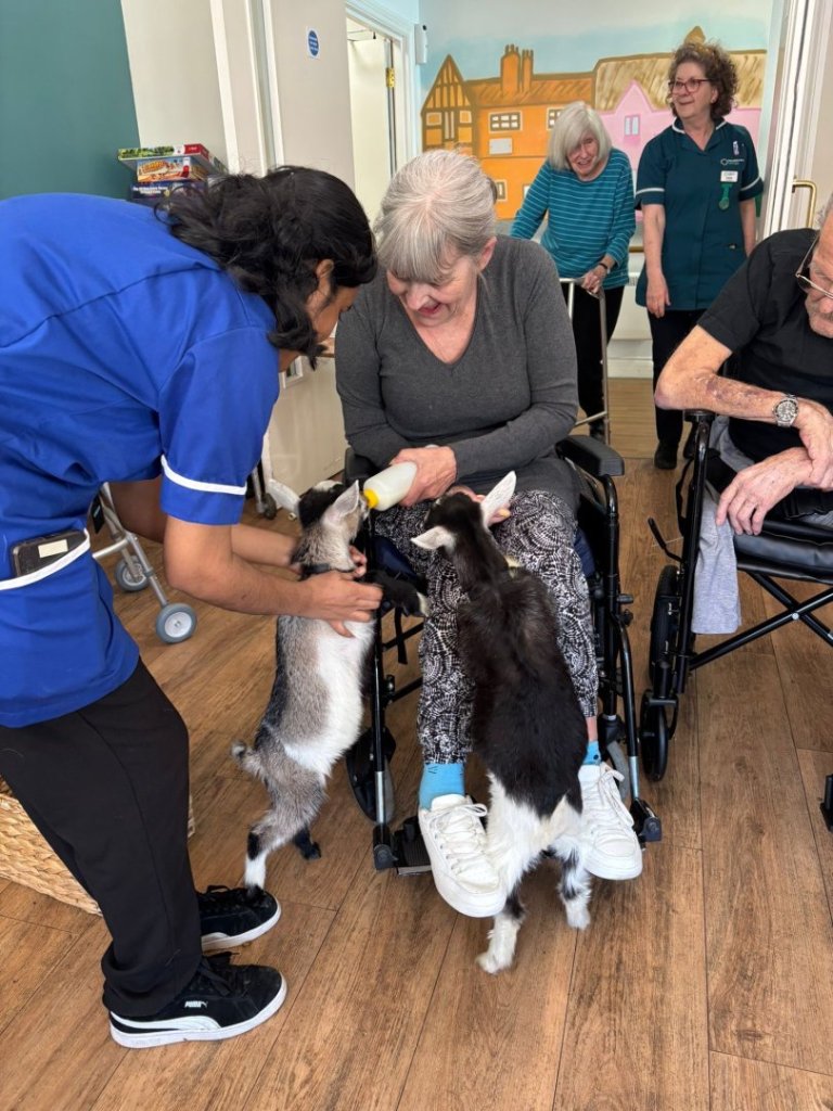 Residents bottle-feeding pygmy goats during care home animal visit at Barking Hall Nursing Home