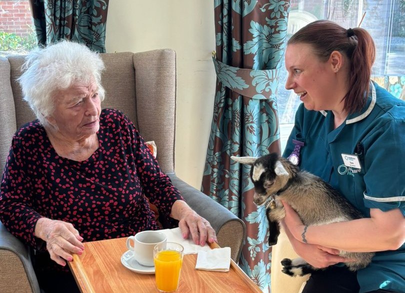 Resident bottle-feeding a pygmy goat with staff support during animal visit at Barking Hall Nursing Home