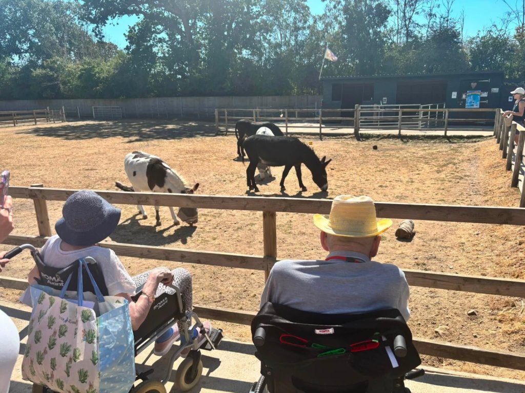 Bedhampton Court residents spending time with a donkey at the Hayling Donkey Sanctuary