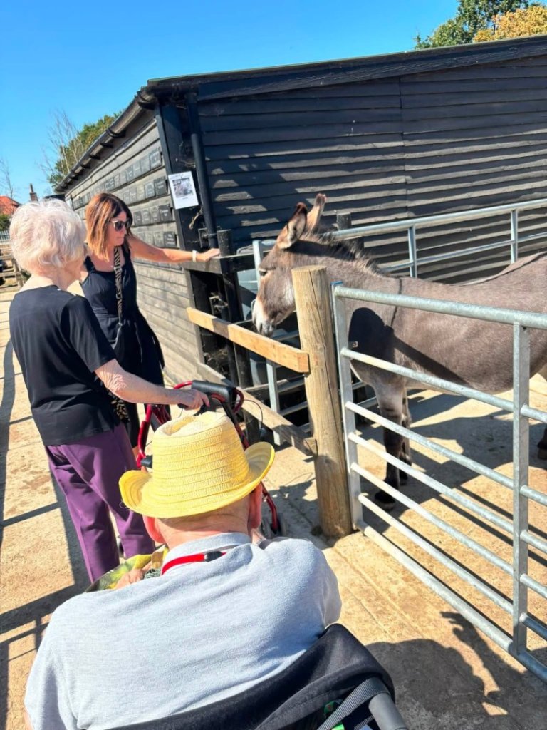 Bedhampton Court residents with a donkey at the Hayling Donkey Sanctuary