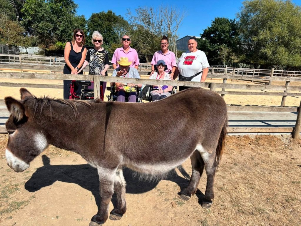 Bedhampton Court residents meet a donkey at the Hayling Donkey Sanctuary